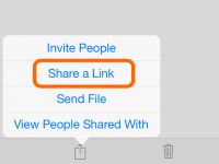 Em um iPad, selecione o arquivo no aplicativo do OneDrive, toque no ícone de compartilhamento e em "Compartilhar um link".